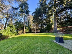 Photo 11- click for photo gallery